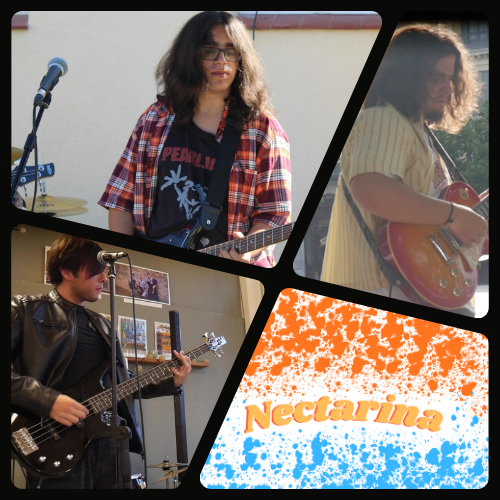 Collage de fotos en directo